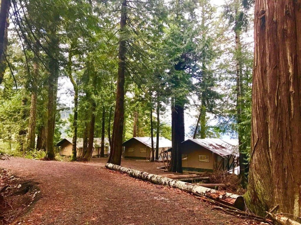 Brown'S Bay Resort Campbell River Exterior foto